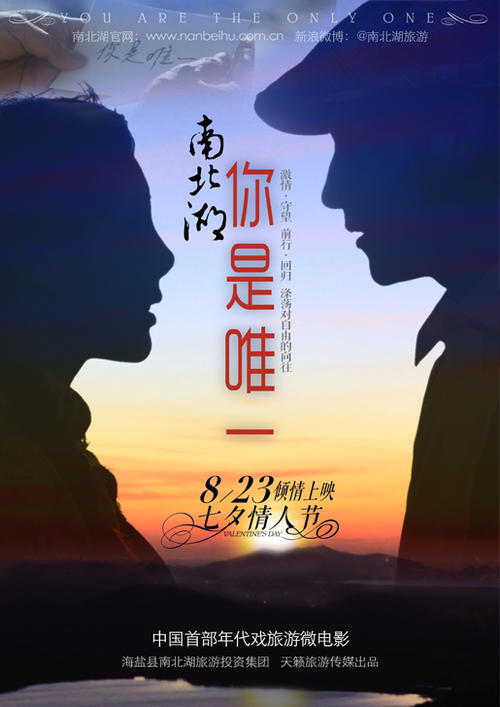 制作华盛顿特区驾驶证